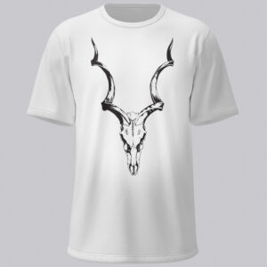 Kudu Skull